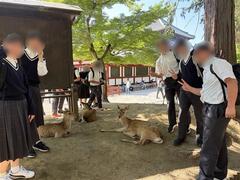 奈良公園