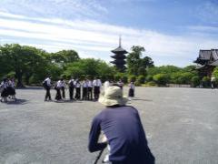東寺五重塔を背景に写真を撮ってからタクシー班行動です