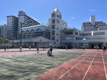 久しぶりの青空です。