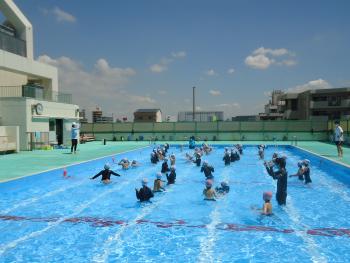 夏の水泳教室
