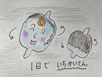 ڂ͒n@23x炢XĂ񂾁B