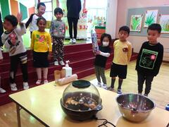 �|�b�v�R�[��