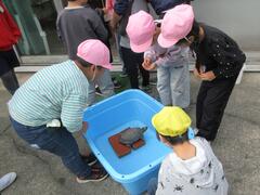 �����ۈ�