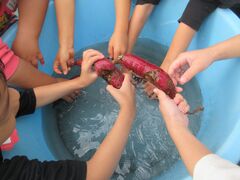 ���܂���