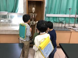 理科室で人体模型を見ている子どもたちの様子