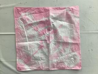 �Y��Ȗ͗l���ł����l�q