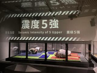 �{���h�Њقł̗l�q