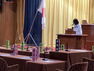 ����c�����̑̌��v���O�����̗l�q