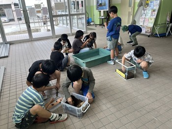 クワガタムシも仲間入りをしました。
