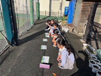 一時間ごとにかげを調べていきます。