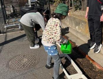 �`���[���b�v�ւ̐����