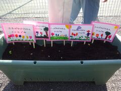 �`���[���b�v�A��