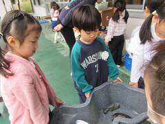 �������̐��b