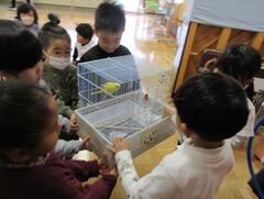 �������̐��b